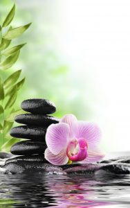  spa concept with zen stones and flower